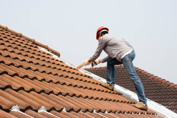 Professional Roofing services in Amboy, IL