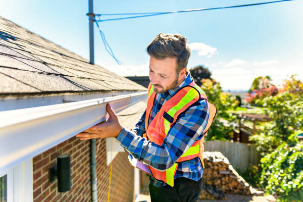 Best Asphalt Shingle Roofing  in Amboy, IL